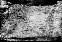 An illustration from The rock tombs of El Amarna .. (1903)