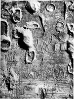 Picture 19 of 81 from The rock tombs of El Amarna .. (1903), leaf 80