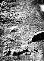 An illustration from The rock tombs of El Amarna .. (1903)