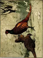 Picture 1 of 14 from Modern woodcuts and lithographs by British and French artists (1919), leaf 24
