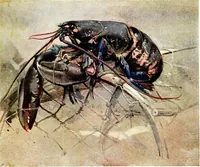 An illustration from Royal Scottish Academy (1907)