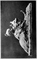 Picture 74 of 89 from Catalogue of sculpture by Prince Paul Troubetzkoy, exhibited by the American Numismatic Society at the Albright Art Gallery, March 27 to April 27; (1911), leaf 159