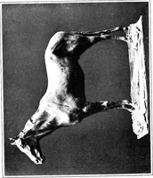 An illustration from Catalogue of sculpture by Prince Paul Troubetzkoy, exhibited by the American Numismatic Society at the Albright Art Gallery, March 27 to April 27; (1911)