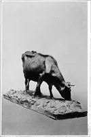 An illustration from Catalogue of sculpture by Prince Paul Troubetzkoy, exhibited by the American Numismatic Society at the Albright Art Gallery, March 27 to April 27; (1911)