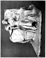 An illustration from Catalogue of sculpture by Prince Paul Troubetzkoy, exhibited by the American Numismatic Society at the Albright Art Gallery, March 27 to April 27; (1911)