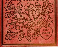 Picture 19 of 146 from Modern book-bindings & their designers (1900), leaf 28