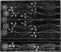 Picture 68 of 146 from Modern book-bindings & their designers (1900), leaf 69