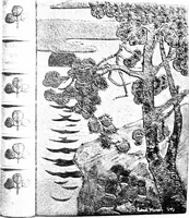 Picture 100 of 146 from Modern book-bindings & their designers (1900), leaf 87