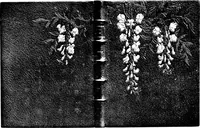 Picture 104 of 146 from Modern book-bindings & their designers (1900), leaf 89