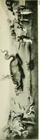 An illustration from Lives of the most eminent painters, sculptors & architects (1912)