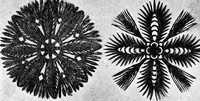 Picture 394 of 421 from Peasant art in Russia (1912), leaf 246