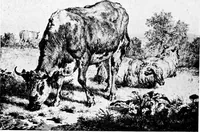 An illustration from Etching craft; a guide for students and collectors (1922)