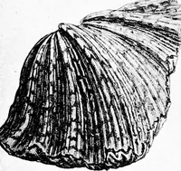 Picture 32 of 112 from Etching craft; a guide for students and collectors (1922), leaf 103