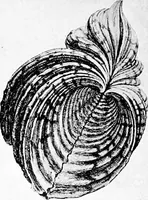 Picture 33 of 112 from Etching craft; a guide for students and collectors (1922), leaf 103