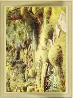 Picture 13 of 25 from Japanese gardens (1912), leaf 185