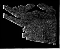 An illustration from Collected papers on acoustics (1922)