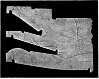 An illustration from Collected papers on acoustics (1922)