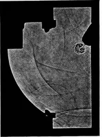 An illustration from Collected papers on acoustics (1922)