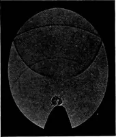 An illustration from Collected papers on acoustics (1922)