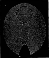 An illustration from Collected papers on acoustics (1922)
