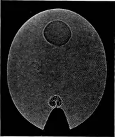 An illustration from Collected papers on acoustics (1922)