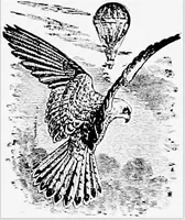An illustration from The Aerial ship (1910)