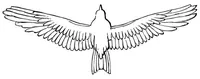 An illustration from Aërial navigation (1894)