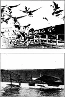 An illustration from The triumph of the N. C.'s (1920)