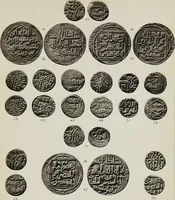 An illustration from The coins of the sultans of Dehlí in the British Museum (1884)