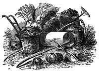 Picture 7 of 13 from A wizard's wanderings from China to Peru (1886), leaf 114
