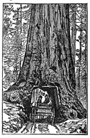 An illustration from A wizard's wanderings from China to Peru (1886)