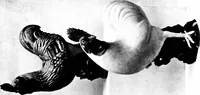 An illustration from Catalogue of the well-known collection of Chinese porcelain (1916)