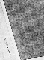 An illustration from Studies for Albany (1914)