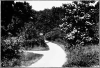 An illustration from Report of Charles Mulford Robinson for Fort Wayne Civic Improvement Association (1910)