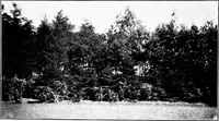 An illustration from Report of Charles Mulford Robinson for Fort Wayne Civic Improvement Association (1910)