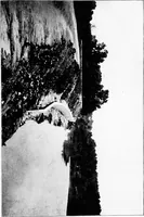 An illustration from Report of Charles Mulford Robinson for Fort Wayne Civic Improvement Association (1910)