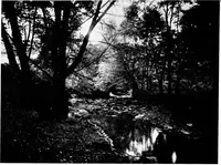 An illustration from Glen Ridge : the preservation of its natural beauty and its improvement as a place of residence (1909)