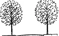 An illustration from Glen Ridge : the preservation of its natural beauty and its improvement as a place of residence (1909)