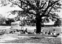 An illustration from Glen Ridge : the preservation of its natural beauty and its improvement as a place of residence (1909)