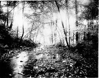 An illustration from Glen Ridge : the preservation of its natural beauty and its improvement as a place of residence (1909)