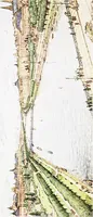 An illustration from City plan of Joliet (1921)