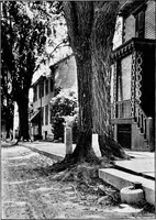 An illustration from Proposed improvements for Newport; (1913)