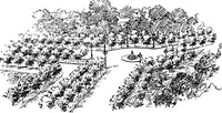 Picture 7 of 24 from Report of the Kingshighway Commission, March 1903 (1903), leaf 43