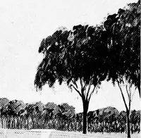 An illustration from The development of Washington with special reference to the Lincoln memorial (1911)