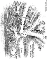 Picture 80 of 82 from Town planning in Madras : a review of the conditions and requirements of city improvement and development in the Madras Presidency (1918), leaf 180