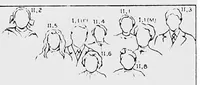 Picture 7 of 8 from Heredity of skin color in negro-white crosses (1913), leaf 137