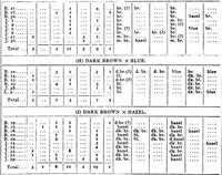An illustration from Heredity of skin color in negro-white crosses (1913)