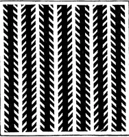 An illustration from Studies in auditory and visual space perception (1901)