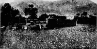 Picture 81 of 155 from Ancient Greece; a sketch of its art, literature & philosophy viewed in connexion with its external history from earliest times to the age of Alexander the Great (1913), leaf 383