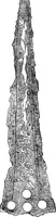 Picture 13 of 155 from Ancient Greece; a sketch of its art, literature & philosophy viewed in connexion with its external history from earliest times to the age of Alexander the Great (1913), leaf 62